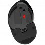 Souris Ergonomique RGB DELUX sans fil droitier Noir