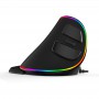 Souris Ergonomique RGB DELUX sans fil droitier Noir