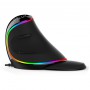 Souris Ergonomique RGB DELUX sans fil droitier Noir