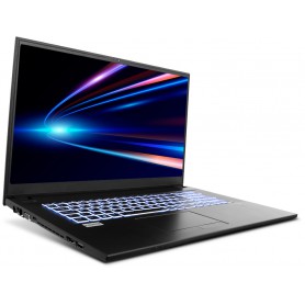 Clevo NJ70PU - 17.3" FHD 1920x1080 - i7-1255U