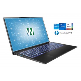 Clevo NS70PU Intel Core 12th série Pro - 17.3" - Châssis ultra slim + batterie 73Wh