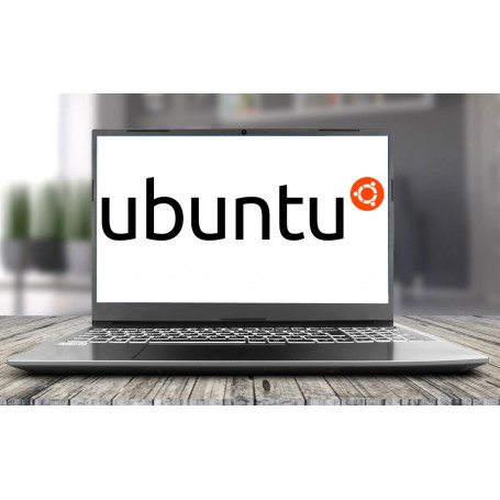 Pack LINUX Clevo NL51GU 15.6" FHD intel N5030 64Go 4Go Linux au choix