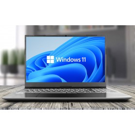 Pack PROMO WIN11 Clevo NL51GU 15.6" FHD intel N5030 240Go 8Go